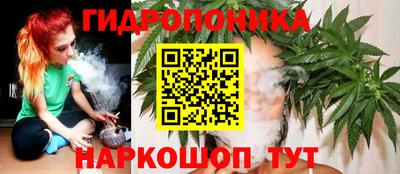 стаф Волжск