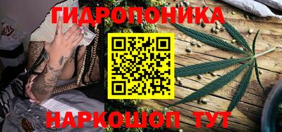 стаф Волжск