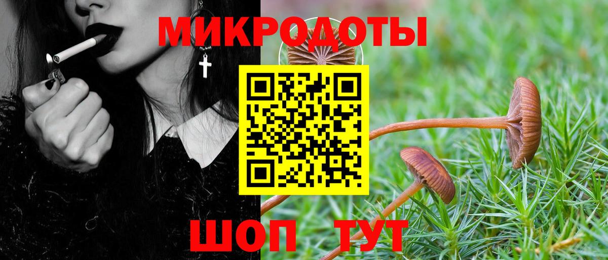 Галлюциногенные грибы Psilocybe  Вход с VPN  Моршанск 